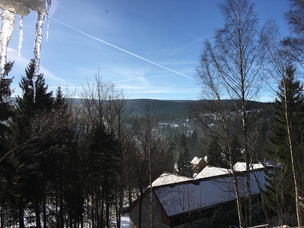 Zielarnia - Sauna Szklarska Poreba